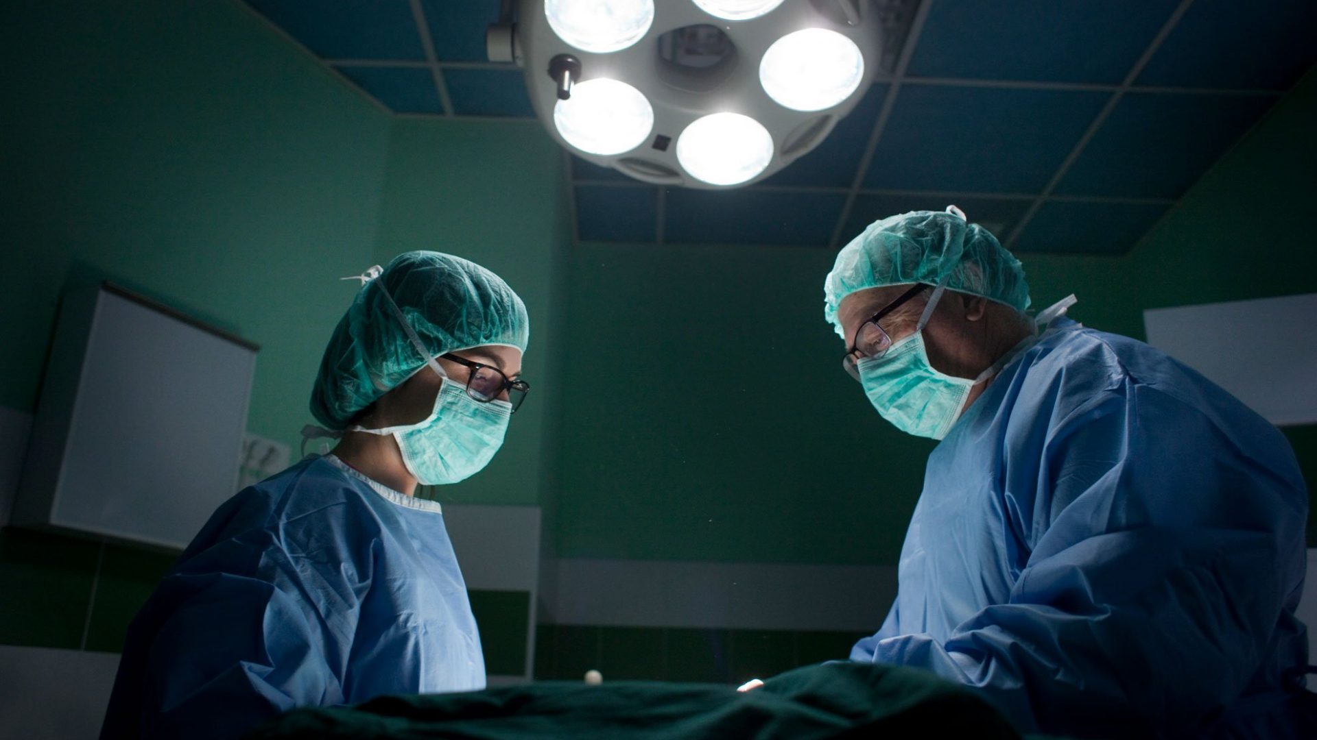 two veterinary surgeons examining patient under light