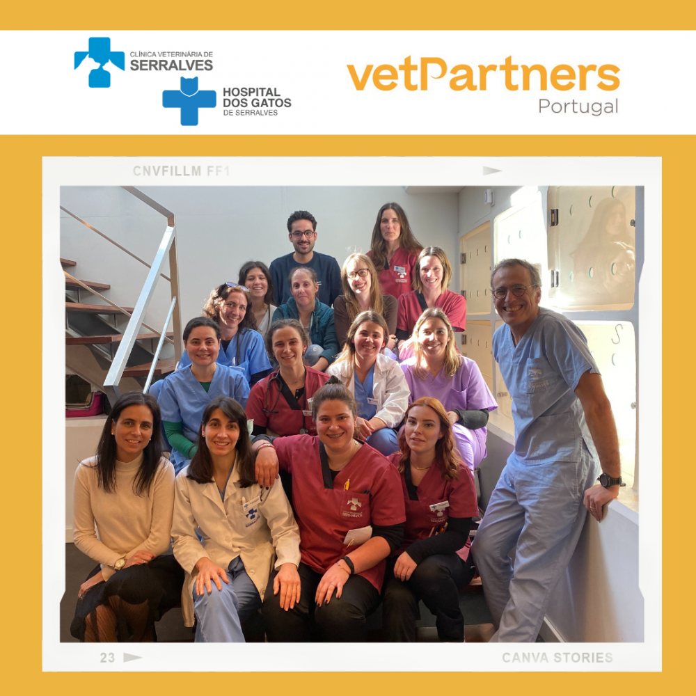 A Clínica Veterinária de Serralves juntou-se à família VetPartners Portugal.