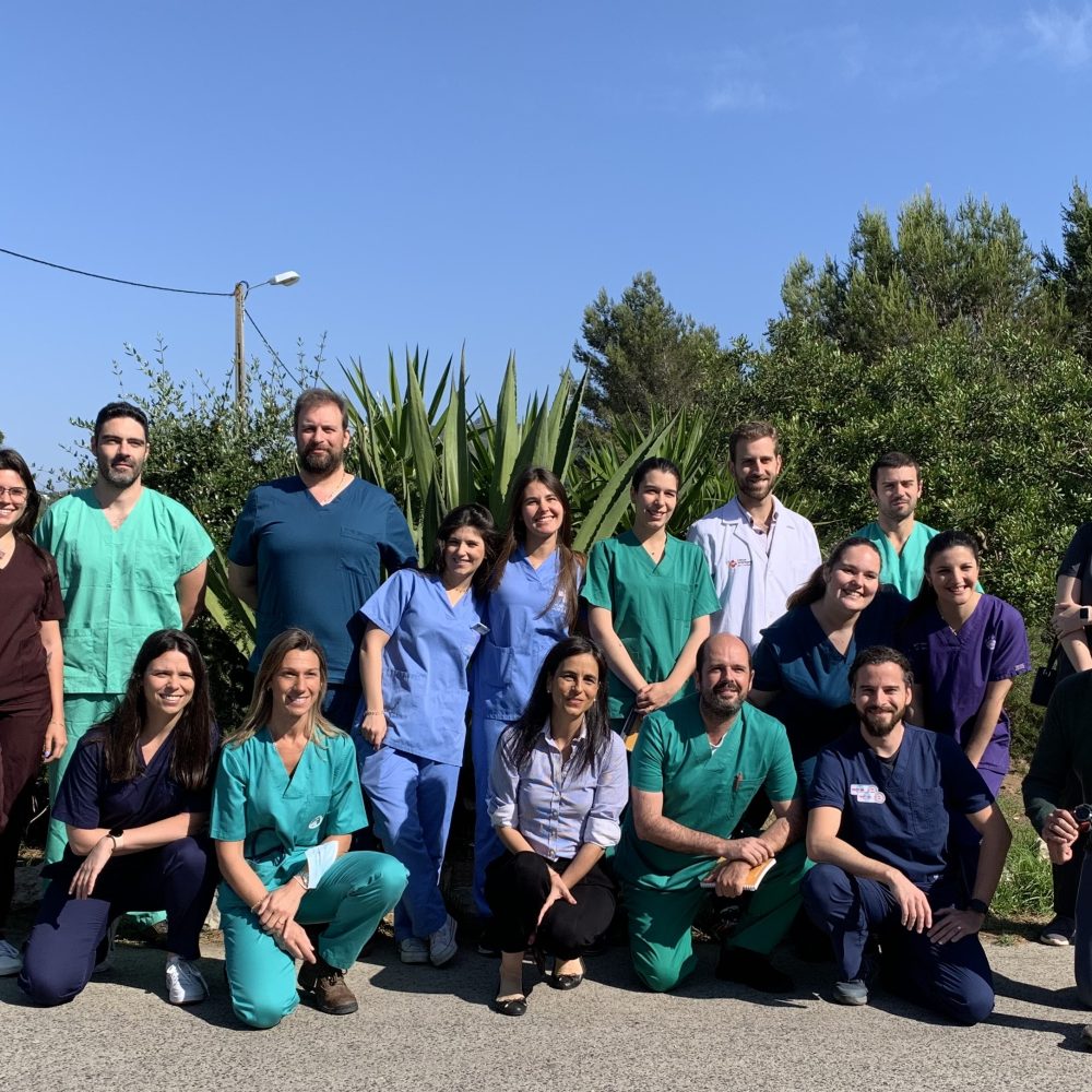 A VetPartners Portugal promoveu a primeira formação em Urgências e Cirurgia Veterinária