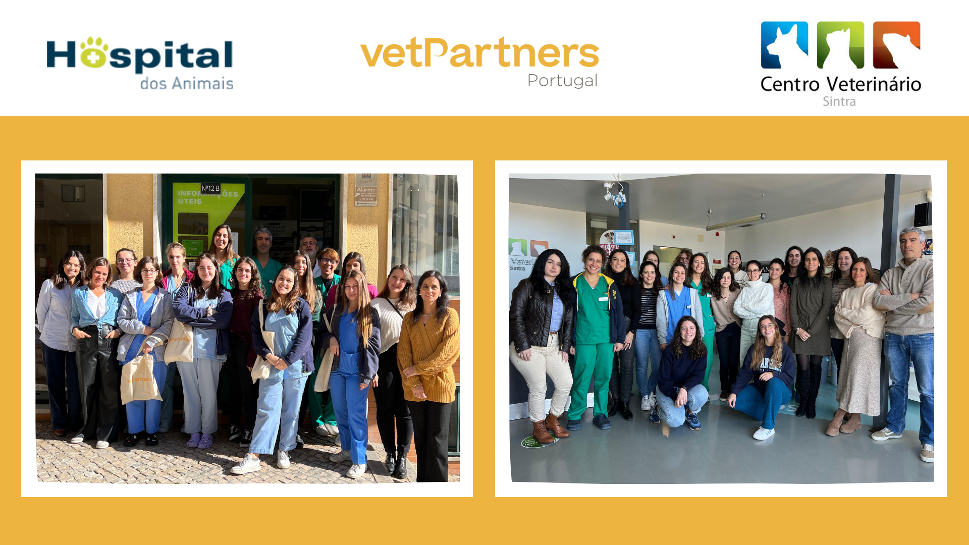 Hospital dos Animais e Centro Veterinário de Sintra juntam-se à VetPartners
